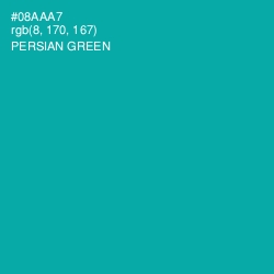 #08AAA7 - Persian Green Color Image